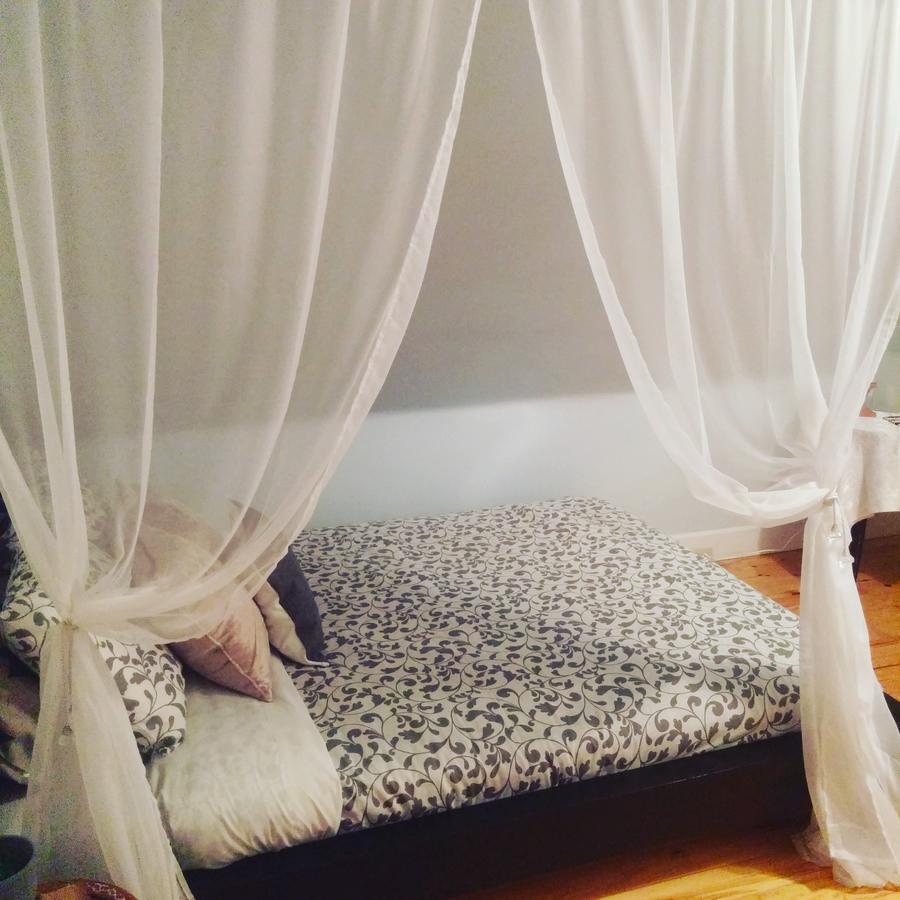 The Cosy Cottage Inn Saint John Ngoại thất bức ảnh